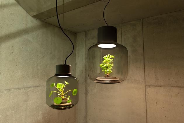 將植物放在一款密閉的LED燈具中能持續(xù)生長嗎？